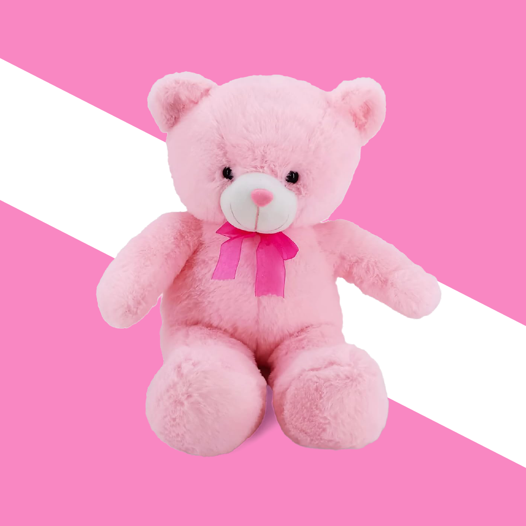 Joyful Companions Hamper: Plush, Play, and Musical Fun